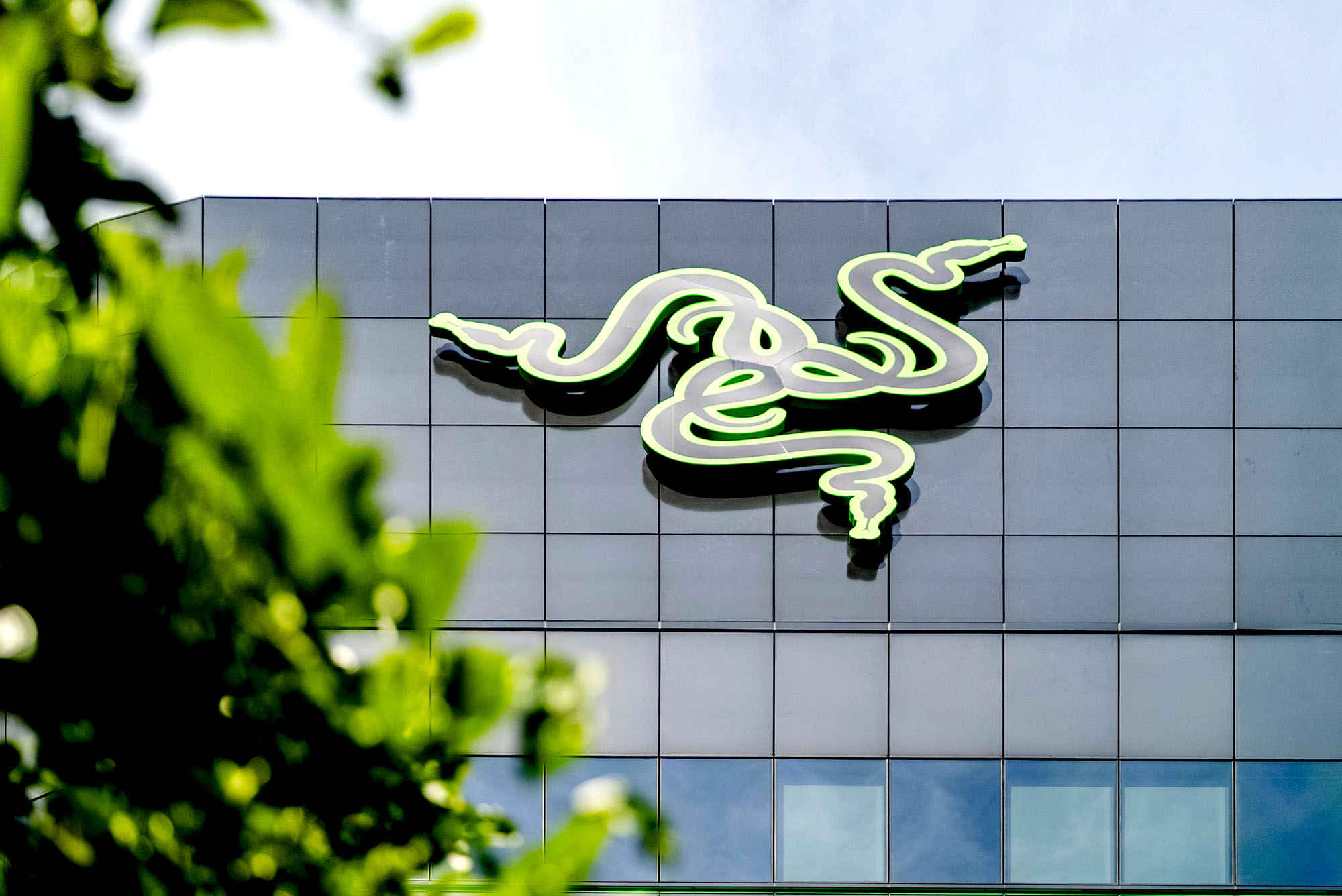 Razer SEA HQ-00157-(Razer-logo-edited)